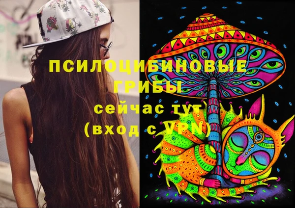 метамфетамин Богородицк