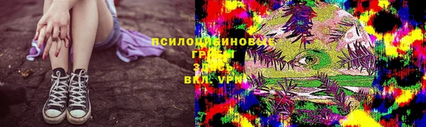 прущая мука Богородск