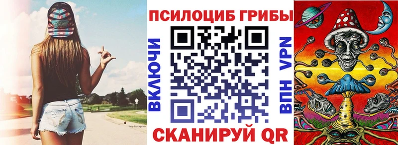 Псилоцибиновые грибы MAGIC MUSHROOMS  наркошоп  Шумиха 